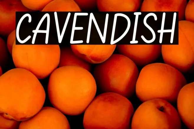 CAVENDISH Example 2