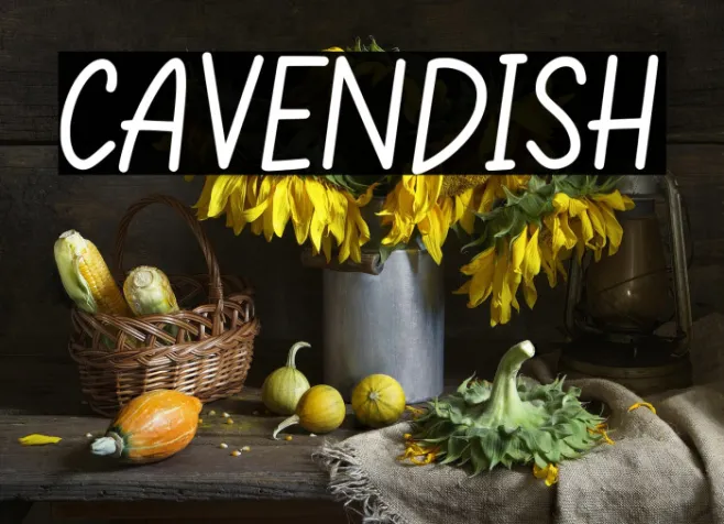 CAVENDISH Example 3