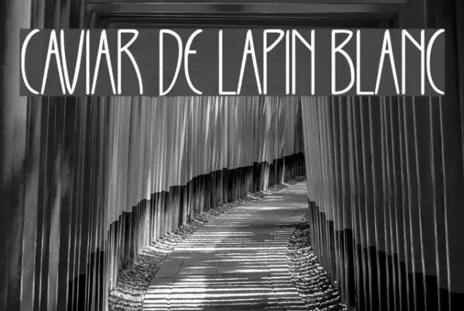 CAVIAR DE LAPIN BLANC Font examples