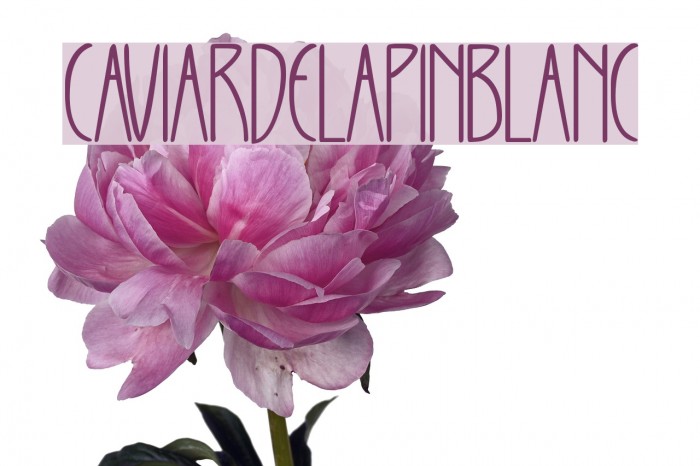 CAVIARDELAPINBLANC Font examples