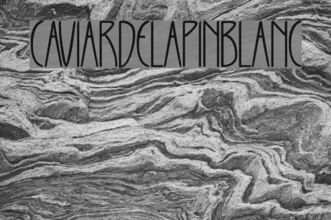 CAVIARDELAPINBLANC Font examples