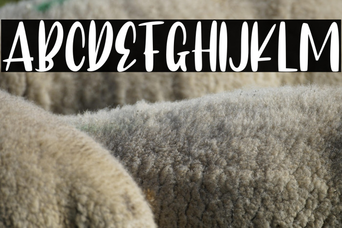 CAlifornia dolphin Example 2