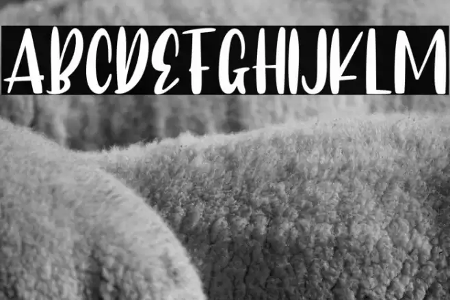 CAlifornia dolphin Font examples