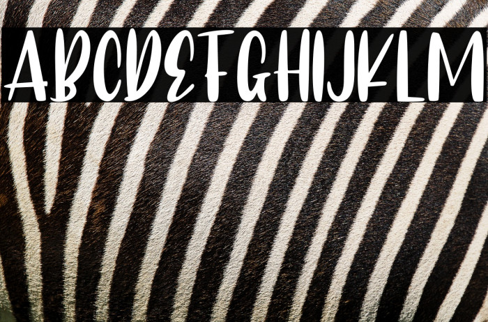 CAlifornia dolphin Example 3