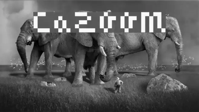 CaZOOM Font examples