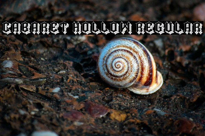 Cabaret Hollow Regular Example 1