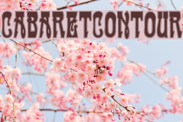 CabaretContour Font examples