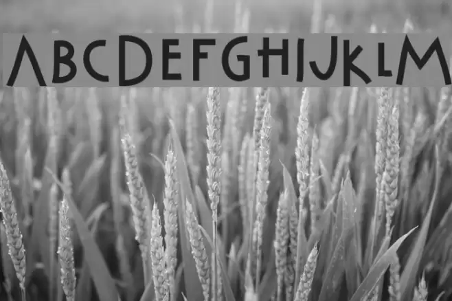 Cabaret_Voltaire Font examples