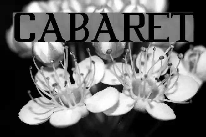 Cabaret Шрифта examples
