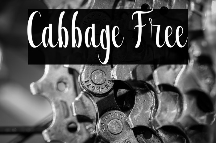 Cabbage Free Example 1