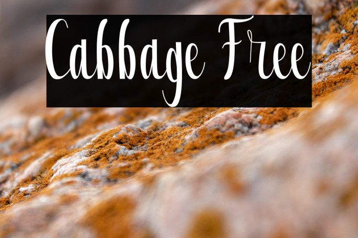 Cabbage Free Example 2