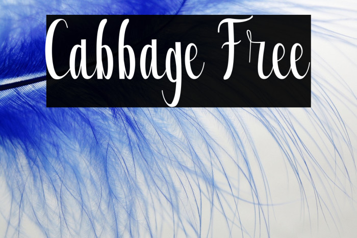 Cabbage Free Example 3