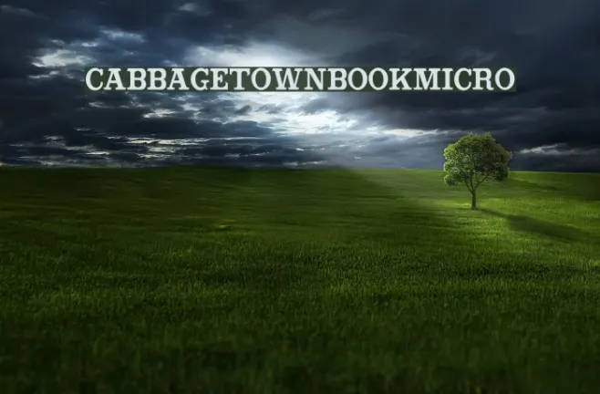 CabbagetownBookMicro Example 1