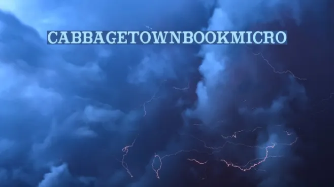 CabbagetownBookMicro Example 2
