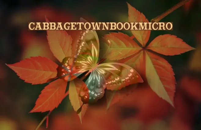 CabbagetownBookMicro Example 3