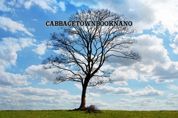 CabbagetownBookNano Font examples