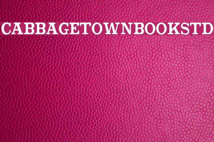CabbagetownBookStd Font examples