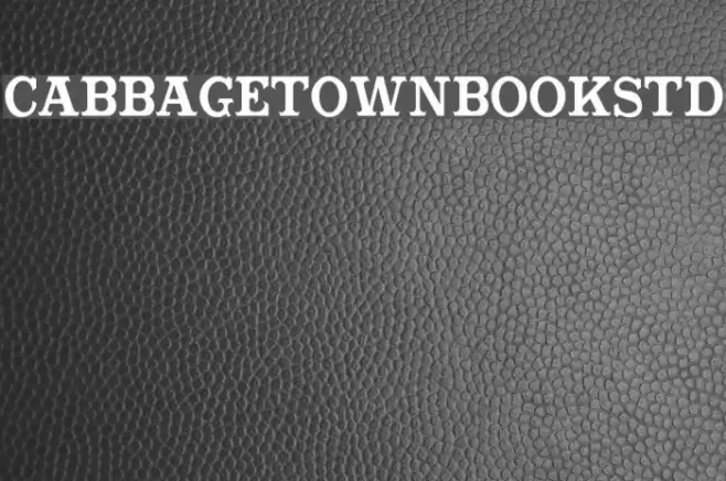 CabbagetownBookStd Font examples