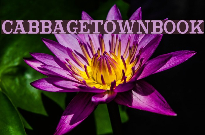 CabbagetownBook Font examples