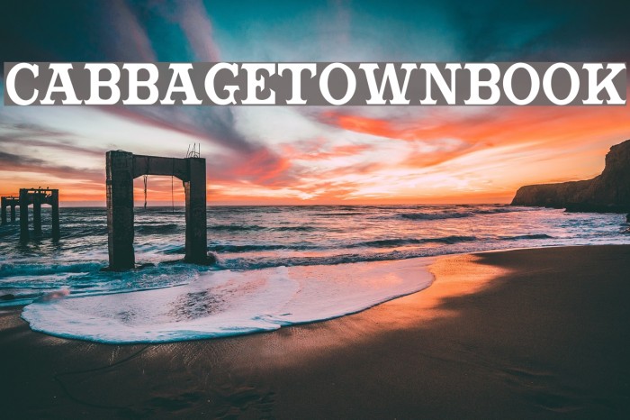 CabbagetownBook Font examples