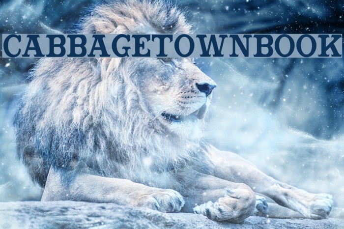 CabbagetownBook Font examples