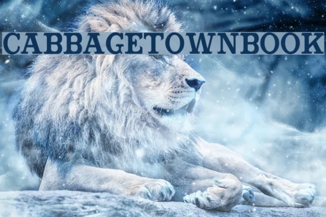 CabbagetownBook Example 3