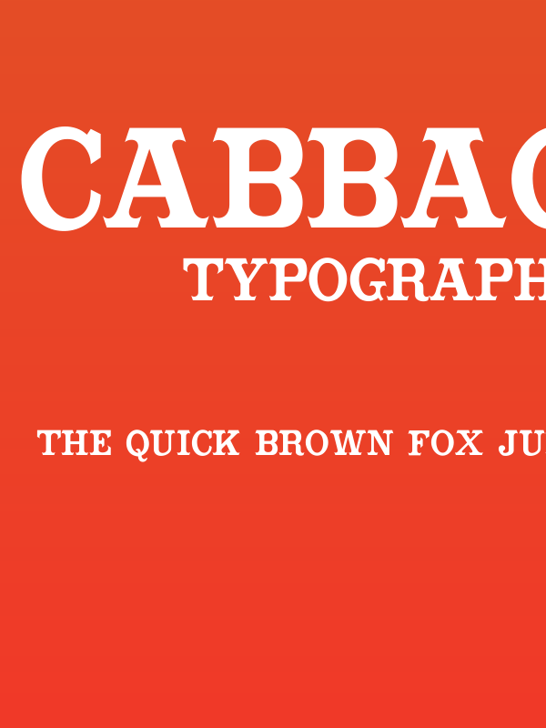 CabbagetownBook Poster
