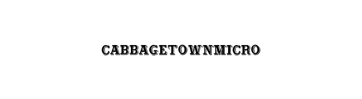 CabbagetownMicro Polices