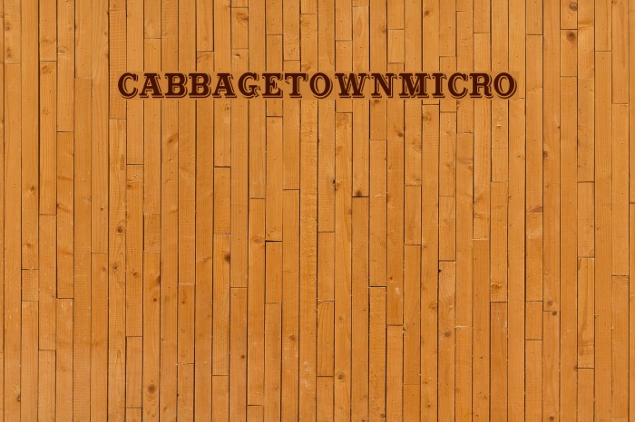CabbagetownMicro Polices examples