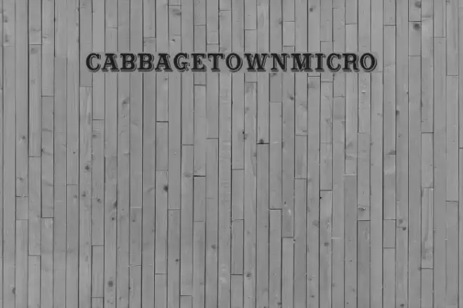 CabbagetownMicro Font examples