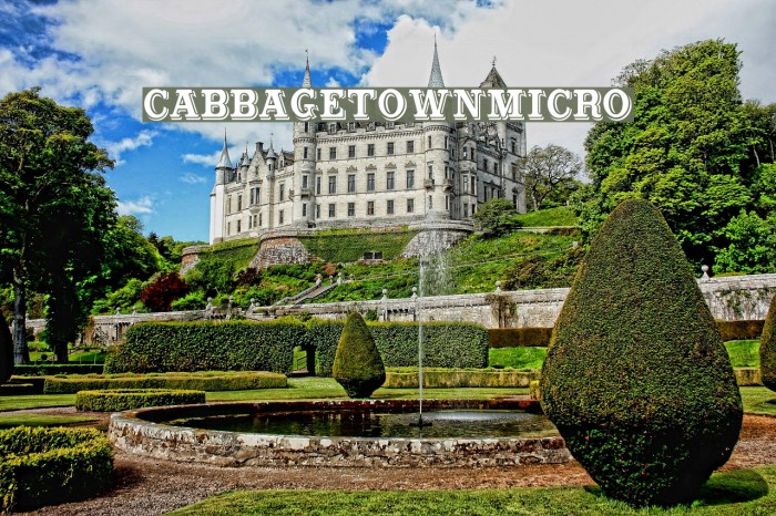 CabbagetownMicro Polices examples