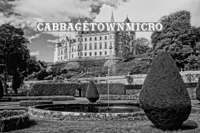 CabbagetownMicro Font examples