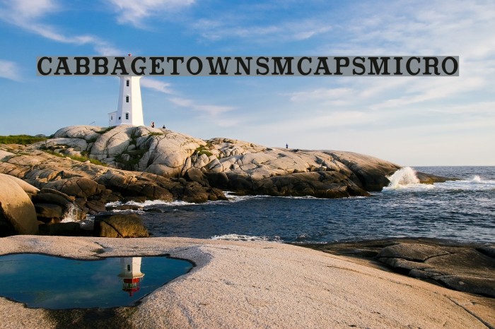 CabbagetownSmCapsMicro Font examples