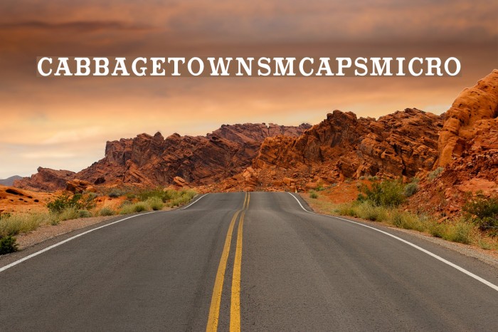 CabbagetownSmCapsMicro Font examples