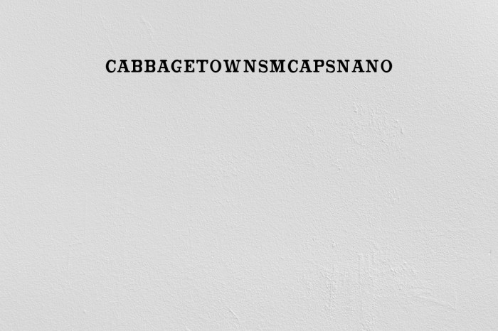 CabbagetownSmCapsNano Font examples