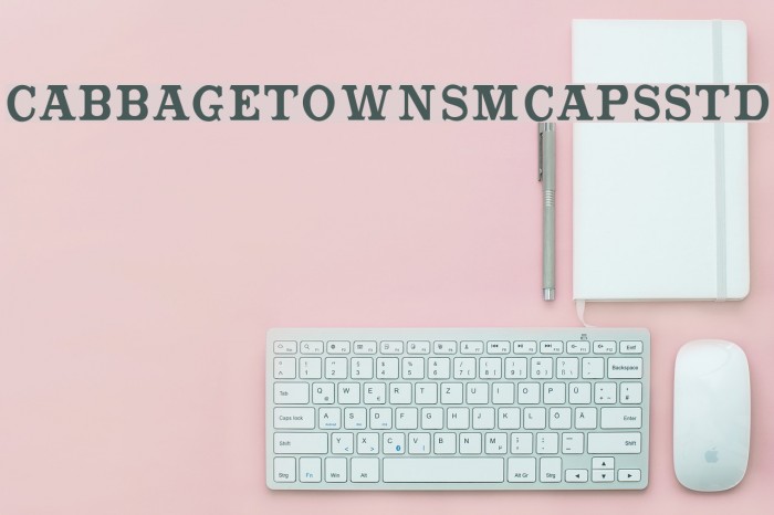 CabbagetownSmCapsStd Font examples