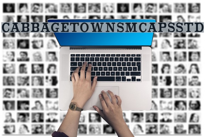 CabbagetownSmCapsStd Font examples
