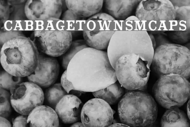 CabbagetownSmCaps Font examples