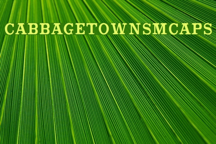 CabbagetownSmCaps Polices examples