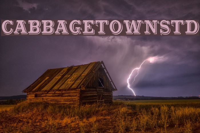 CabbagetownStd Schriftart examples