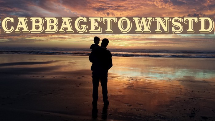 CabbagetownStd Schriftart examples