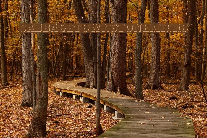 CabbagetownStoneMicro Schriftart examples