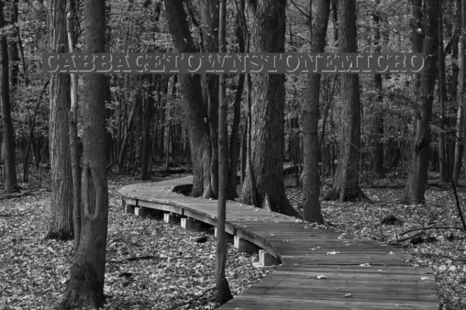 CabbagetownStoneMicro Font examples