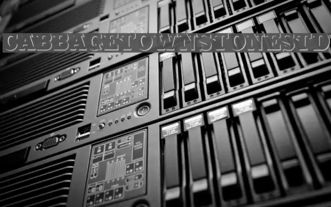 CabbagetownStoneStd Font examples