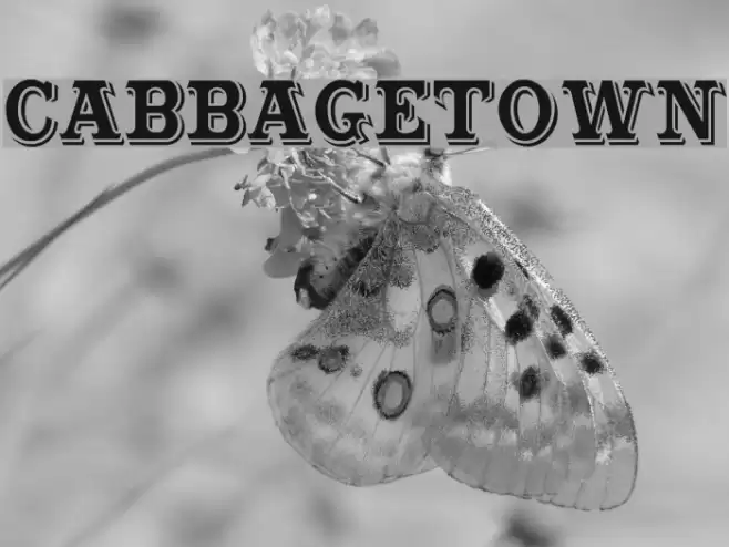 Cabbagetown Font examples