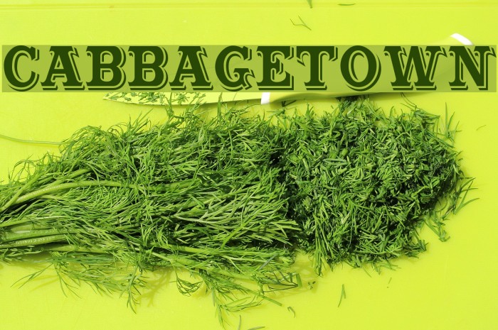 Cabbagetown Polices examples