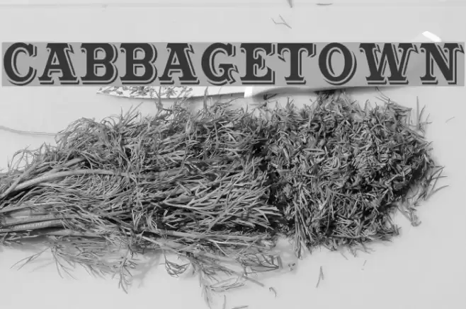 Cabbagetown Font examples