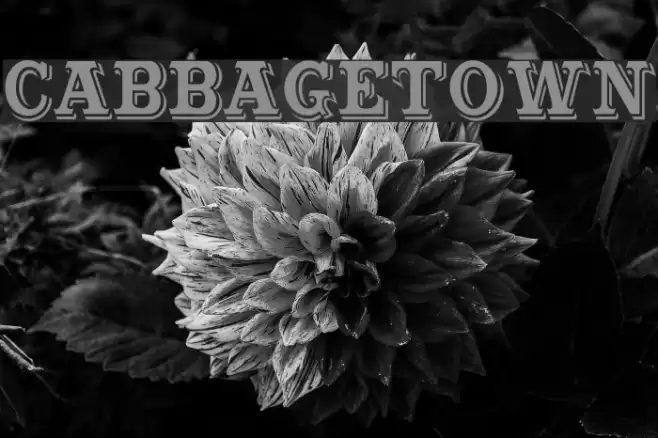 Cabbagetown Font examples