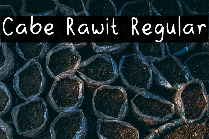 Cabe Rawit Regular Example 1