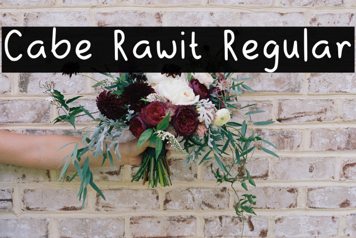 Cabe Rawit Regular Example 2